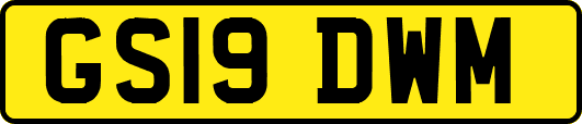 GS19DWM