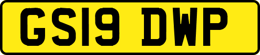 GS19DWP