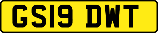 GS19DWT