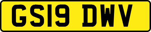 GS19DWV