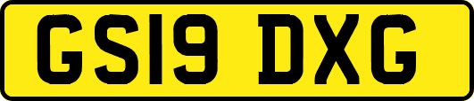 GS19DXG