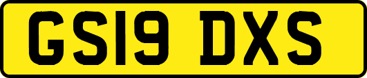 GS19DXS