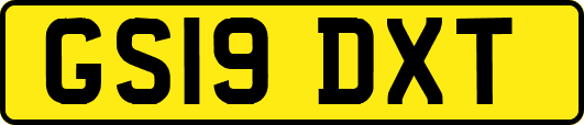 GS19DXT