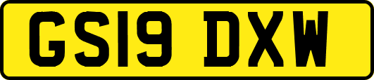 GS19DXW