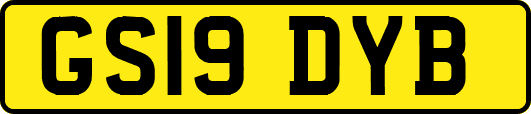 GS19DYB