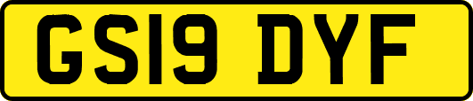 GS19DYF