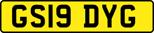 GS19DYG