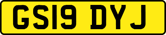 GS19DYJ