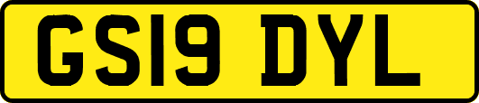 GS19DYL