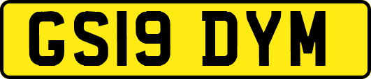GS19DYM