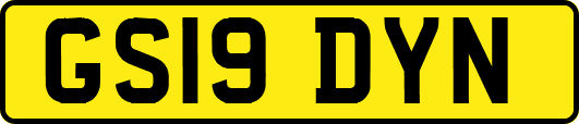 GS19DYN