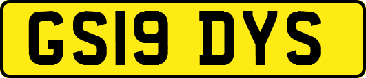 GS19DYS