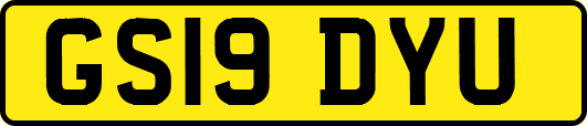 GS19DYU