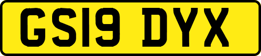GS19DYX