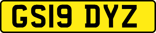 GS19DYZ
