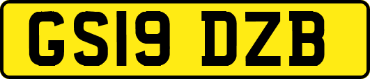 GS19DZB