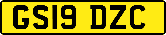 GS19DZC