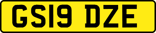 GS19DZE