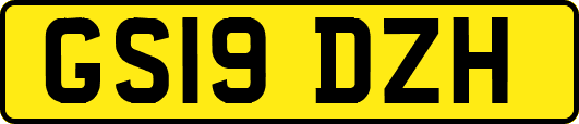 GS19DZH