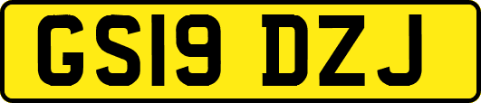 GS19DZJ