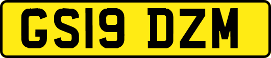 GS19DZM
