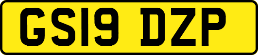 GS19DZP