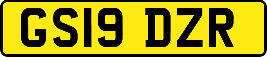GS19DZR