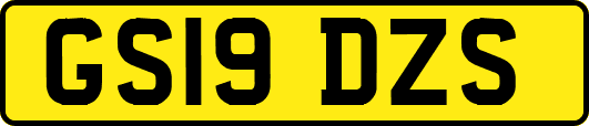 GS19DZS