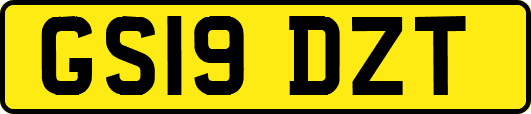 GS19DZT