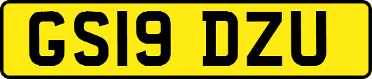 GS19DZU