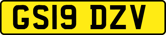 GS19DZV