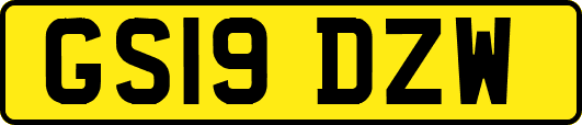 GS19DZW