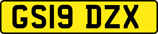 GS19DZX