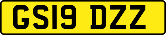 GS19DZZ