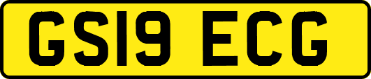 GS19ECG