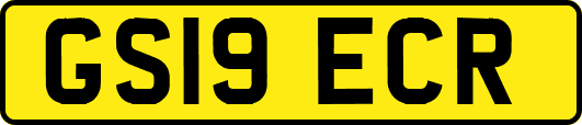 GS19ECR