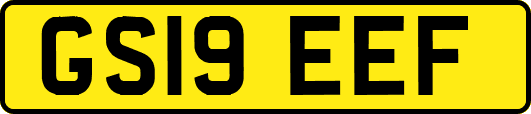 GS19EEF