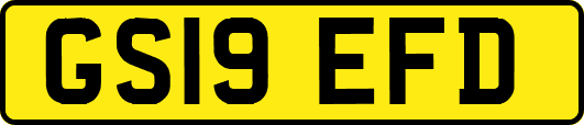 GS19EFD
