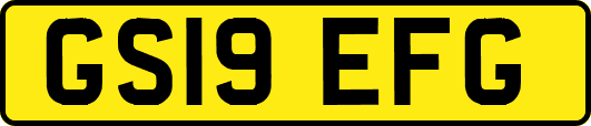 GS19EFG