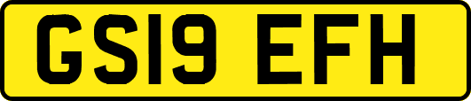 GS19EFH