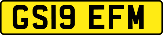 GS19EFM