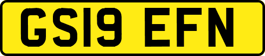 GS19EFN
