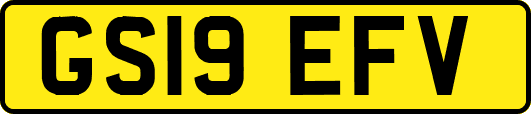 GS19EFV