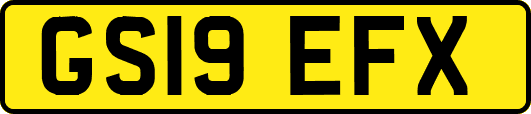 GS19EFX