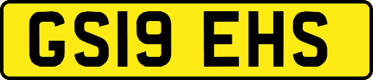 GS19EHS