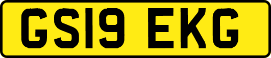 GS19EKG