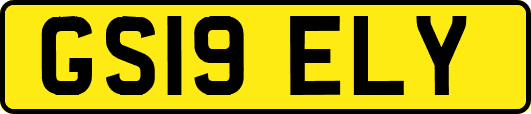 GS19ELY