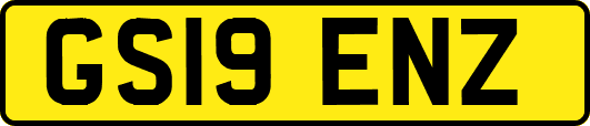 GS19ENZ