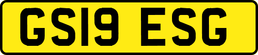 GS19ESG