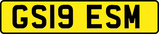 GS19ESM
